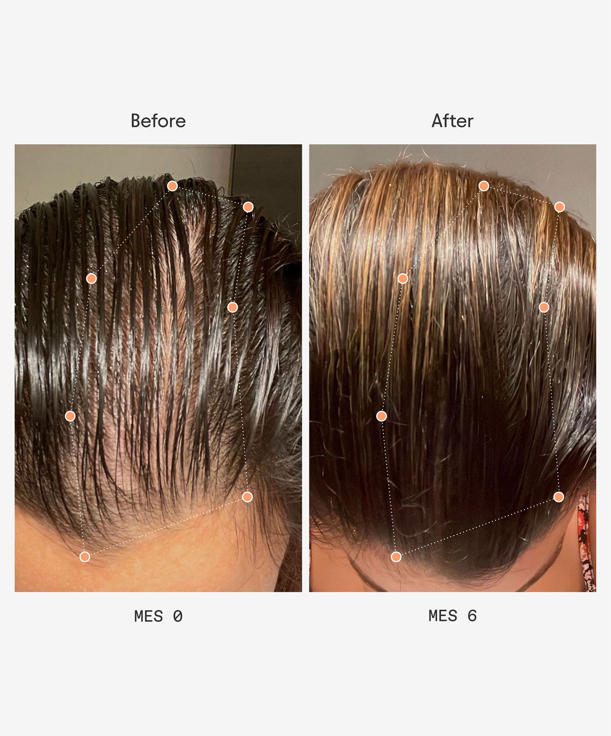 Olistic Women Compra Única