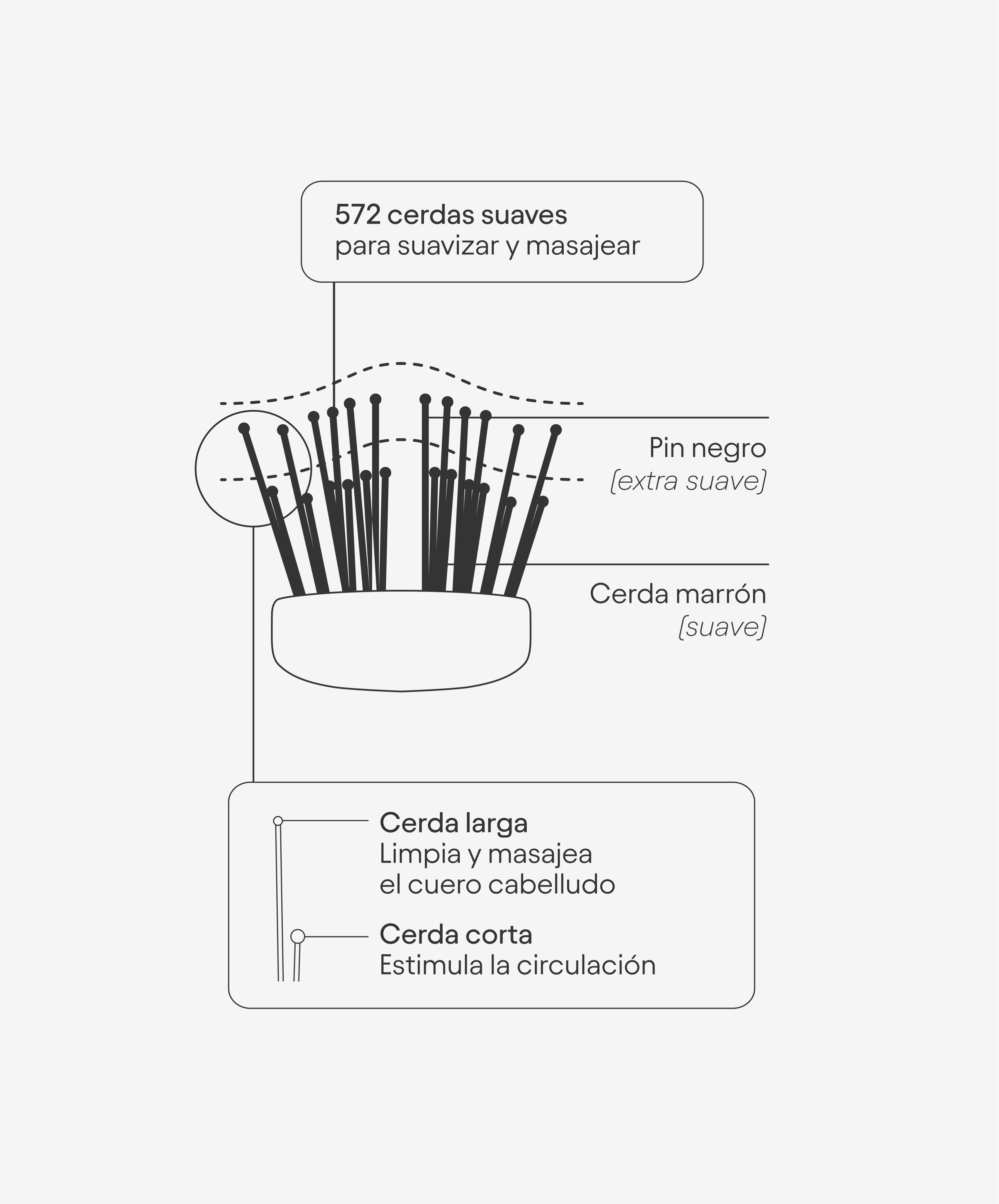 Cepillo Olistic: The iBrush