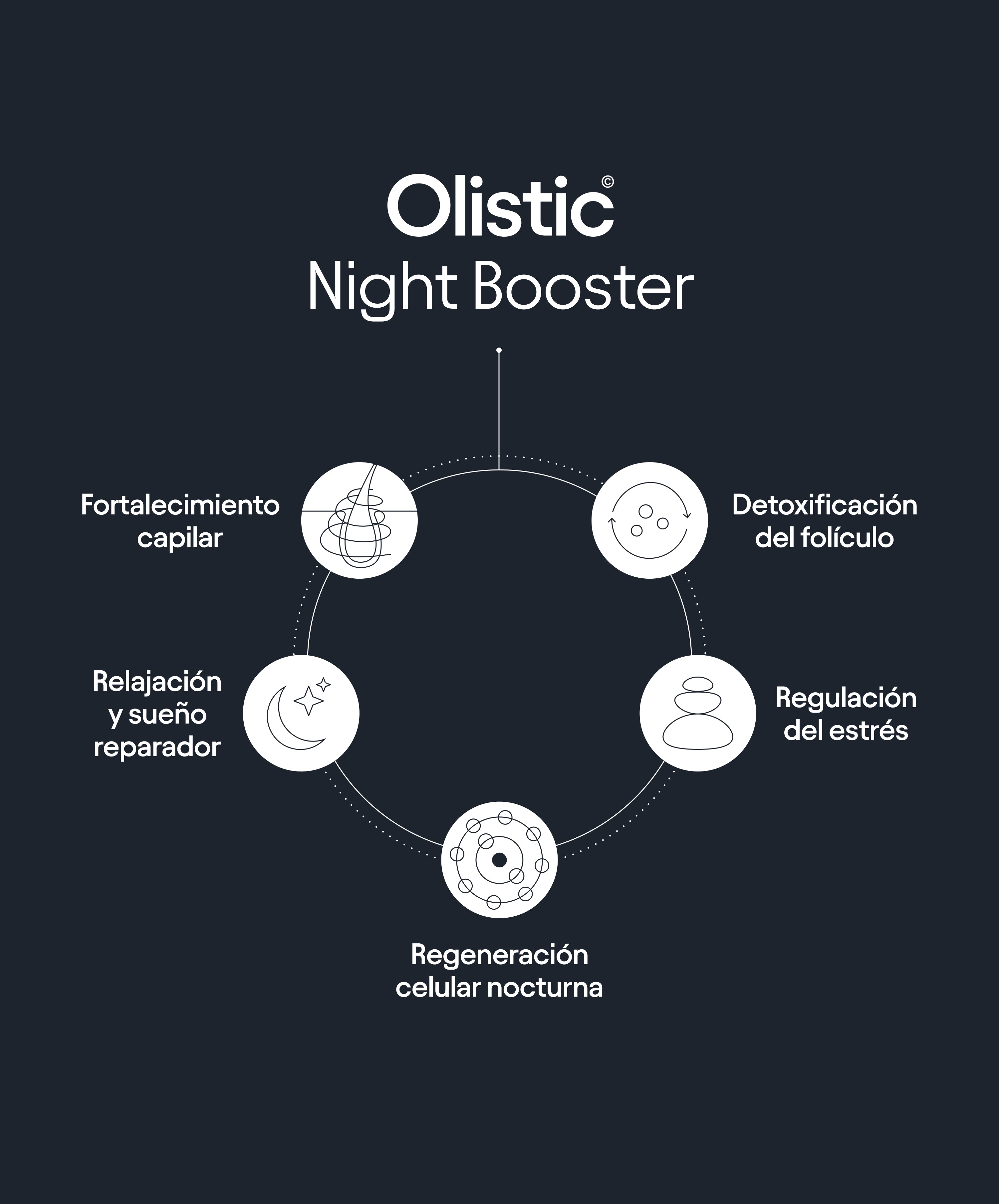 Olistic Night